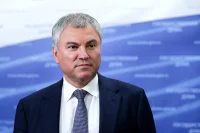 Володин планирует обсудить деятельность международных IT-компаний с председателем ПАСЕ