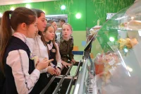Роспотребнадзор нашёл в меню 10% проверенных школ запрещённые продукты