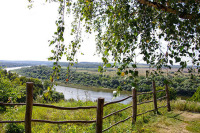 В Госдуме настаивают на раскрытии гражданам информации о лесе и животном мире