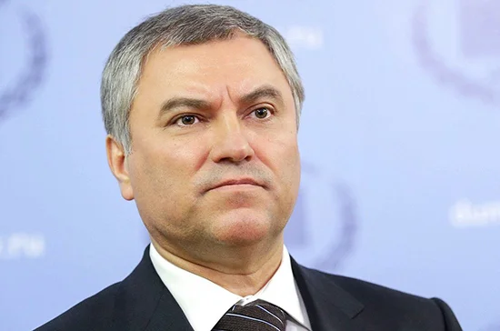 Володин встретится с председателем ПАСЕ 15 марта