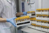 В мире за сутки выявили более 492 тысяч случаев заражения COVID-19