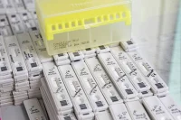 Эксперт оценил возможность введения COVID-паспортов для туристов