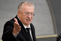 Жириновский предложил отменить плату за проезд для школьников