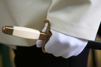 Кортики отставных офицеров ВМФ предлагают освободить от регистрации в Росгвардии