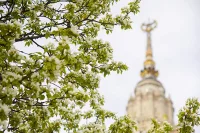 Синоптики спрогнозировали скорое наступление метеорологической весны в Москве