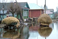 Урожай фермеров предложили страховать от ЧС