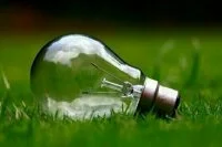 «Час Земли — 2021» посвящён открытости экологической информации