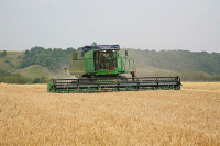 Расходы на госпрограмму по развитию АПК сократят на 116 млрд рублей