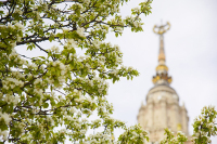 В регионах ЦФО ожидаются потепление и солнечная погода 