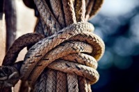 В Госдуме предложили разрешить привлекать сторонние компании к управлению судами