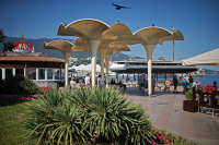 Черняк: крымские здравницы способны безопасно работать в условиях роста числа заражённых COVID-19