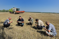 Сельхозкооперативам снизили штрафы за нарушение отчетности