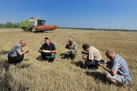 Сельхозкооперативам снизили штрафы за нарушение отчетности