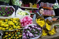 Совфед предлагает поддержать российских цветоводов льготными кредитами