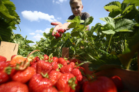 Минтруд рассматривает вопрос о продлении майских праздников
