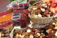 Николаев: новый стандарт защитит отечественных сборщиков дикоросов от конкурентов