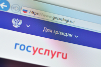 В России предложили ввести учётную запись для иностранцев на Госуслугах