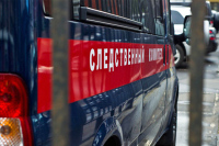 В Пензенской области задержан подозреваемый по делу об отравлении детей в бассейне