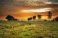 Виды разрешённого использования земель пропишут в Едином госреестре недвижимости