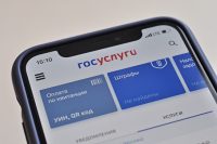 Исковое заявление можно будет подать через госуслуги