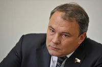 Толстой: ограничений на услуги суррогатных матерей для россиян не будет