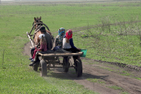 Отдых на селе предложили закрепить законодательно