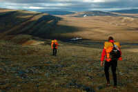 В реестр недвижимости предлагают вносить вид землепользования