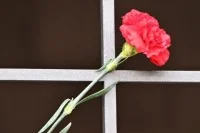 Под Калининградом найдена братская могила советских воинов