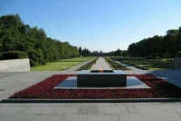 Где находится самое большое военное кладбище