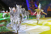 Цирки начнут получать гранты