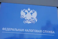 Единый налоговый платёж хотят распространить на бизнес