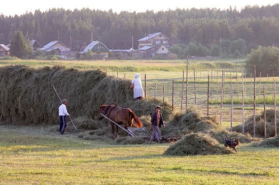 Фермерам хотят дать право строить дома на сельхозземлях