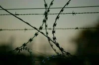В Госдуму внесен законопроект о признании осуждённых социально уязвимой категорией  