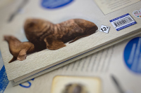 Со СМИ предлагают снять часть ответственности за возрастную маркировку