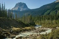 Росрыболовство сможет наказать нарушителей в местных заказниках