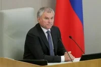 Володин: меры понуждения IT-компаний к выполнению российского законодательства необходимы