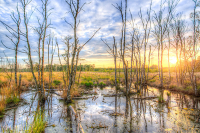 Добычу полезных ископаемых на болотах могут упростить