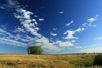 Россиянам могут дать участки в Арктике бесплатно