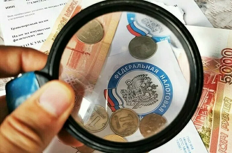 Кабмину могут дать право ограничивать доступ к бухгалтерским отчетам
