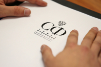 Совфед 2 июня обсудит денонсацию Договора по открытому небу