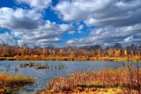 Яцкин назвал основные элементы эффективного госуправления водными ресурсами