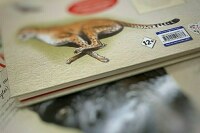 СМИ могут избавить от ответственности за неверную возрастную маркировку