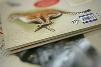 СМИ могут избавить от ответственности за неверную возрастную маркировку