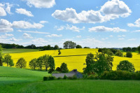 Кабмин направит в регионы 3,42 млрд рублей на производство масличных 