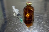 Утверждён порядок приостановки применения ветпрепаратов