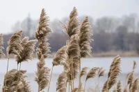 Список пожароопасных посёлков и городов расширится