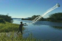 В больших прудах могут упростить разведение рыбы