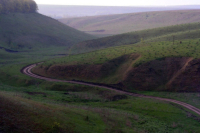 Вид землепользования предлагают вносить в госреестр недвижимости