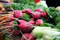 Врач рассказал о полезных свойствах редиса