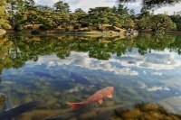 Разведение рыбы в крупных водоёмах упростят